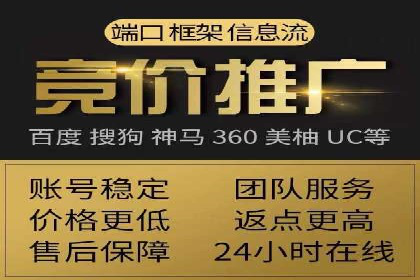 SEM竞价技巧：成功案例揭秘